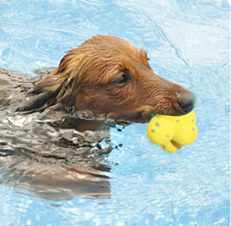 retriever dog swims in a pool holding a yellow loop ball in it's mouth 