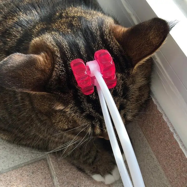 Tabby cat lies on the floor, head down, getting a massage with the Blissful Bond Pet Massager 