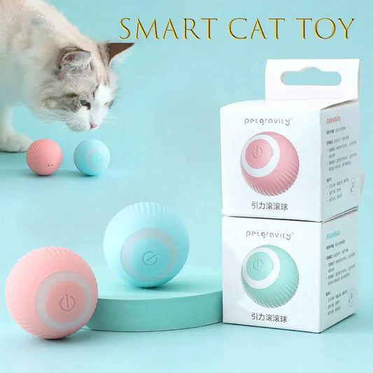 Smart Cat Toy, blue background, a cat sniffs at two balls, in the foreground, a blue and a pink Smart Cat Toy are displayed on a blue stand and another two balls are packaged. 