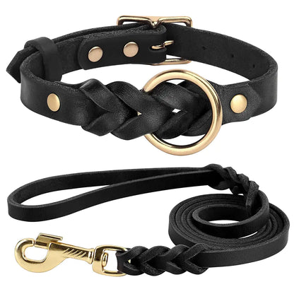 black leather braided collar and leash set on white background. 