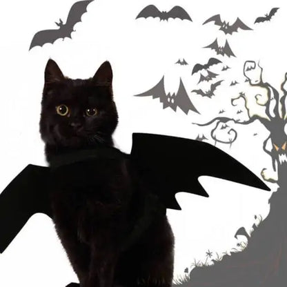 Black cat wears bat wing costume, spooky background. 