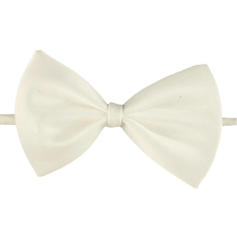 white bow tie on a white background 