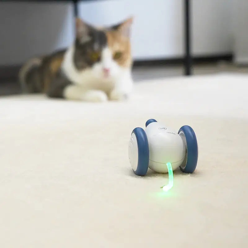 An Interactive Wicked Mouse Cat Toy is in the foreground of the image, a cat lies on the carpet watching the toy in the background. 