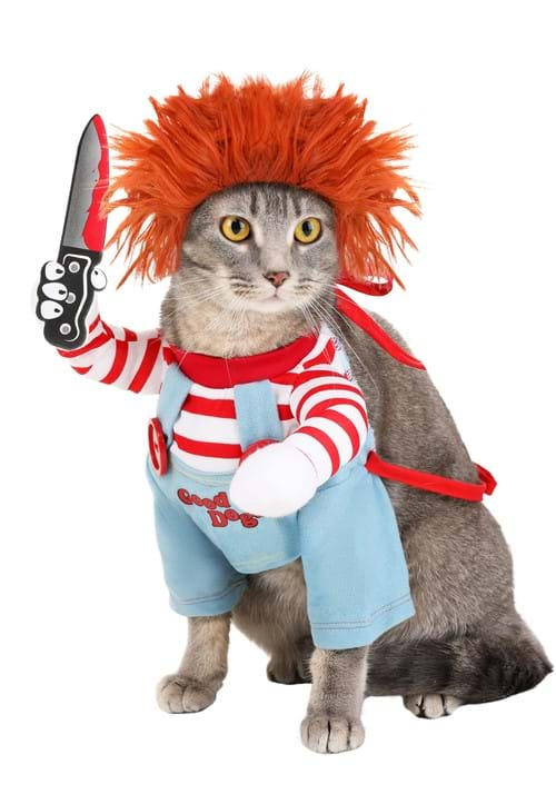 Domestic Cat wears Eerie Doll Dog Costume, white background 