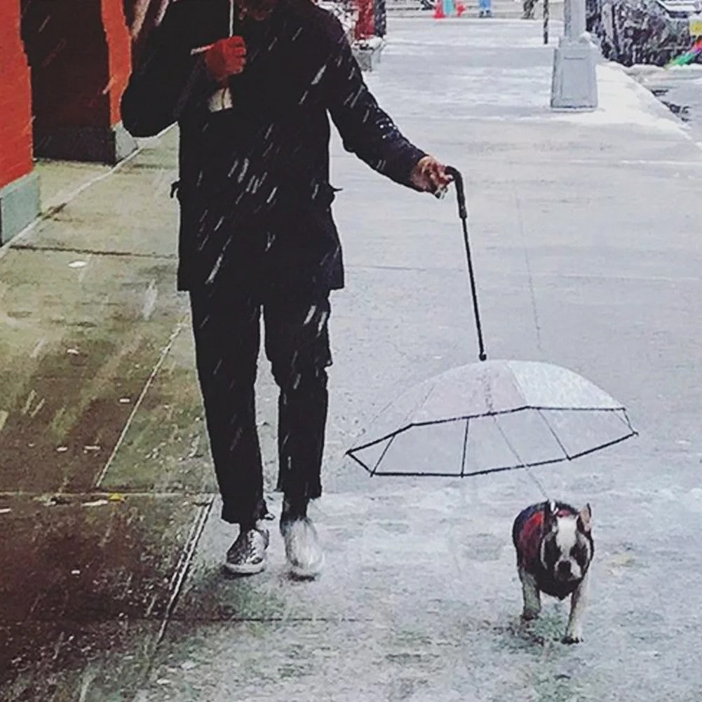 street view of a French Bulldog walking in the rain next to a human, pet umbrella in use. 