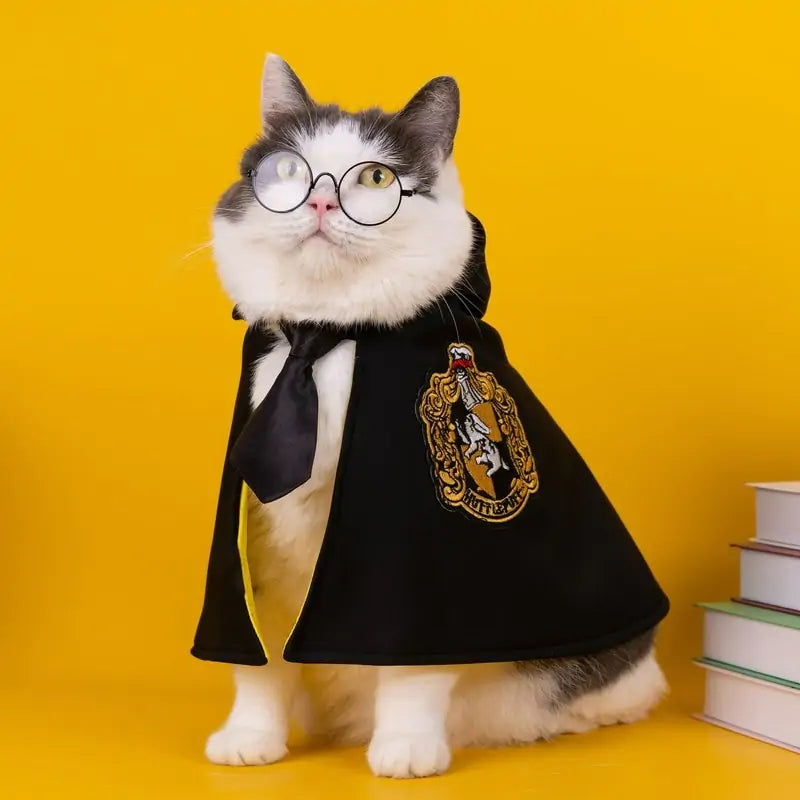 fluffy white cat wears a Wizard Cosplay Cape, glasses and tie, sitting next to a stack of books on a yellow backdrop. 