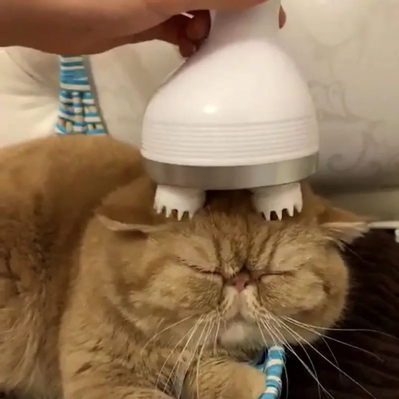 A ginger cat closes it's eyes whilst having it's head massaged with a Serene Paws Electric Massager in a home setting 