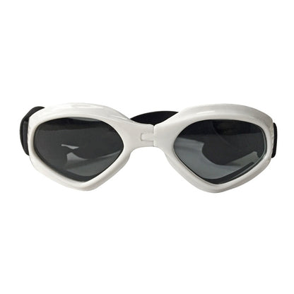 white rimmed sunglasses, front view on white background. 