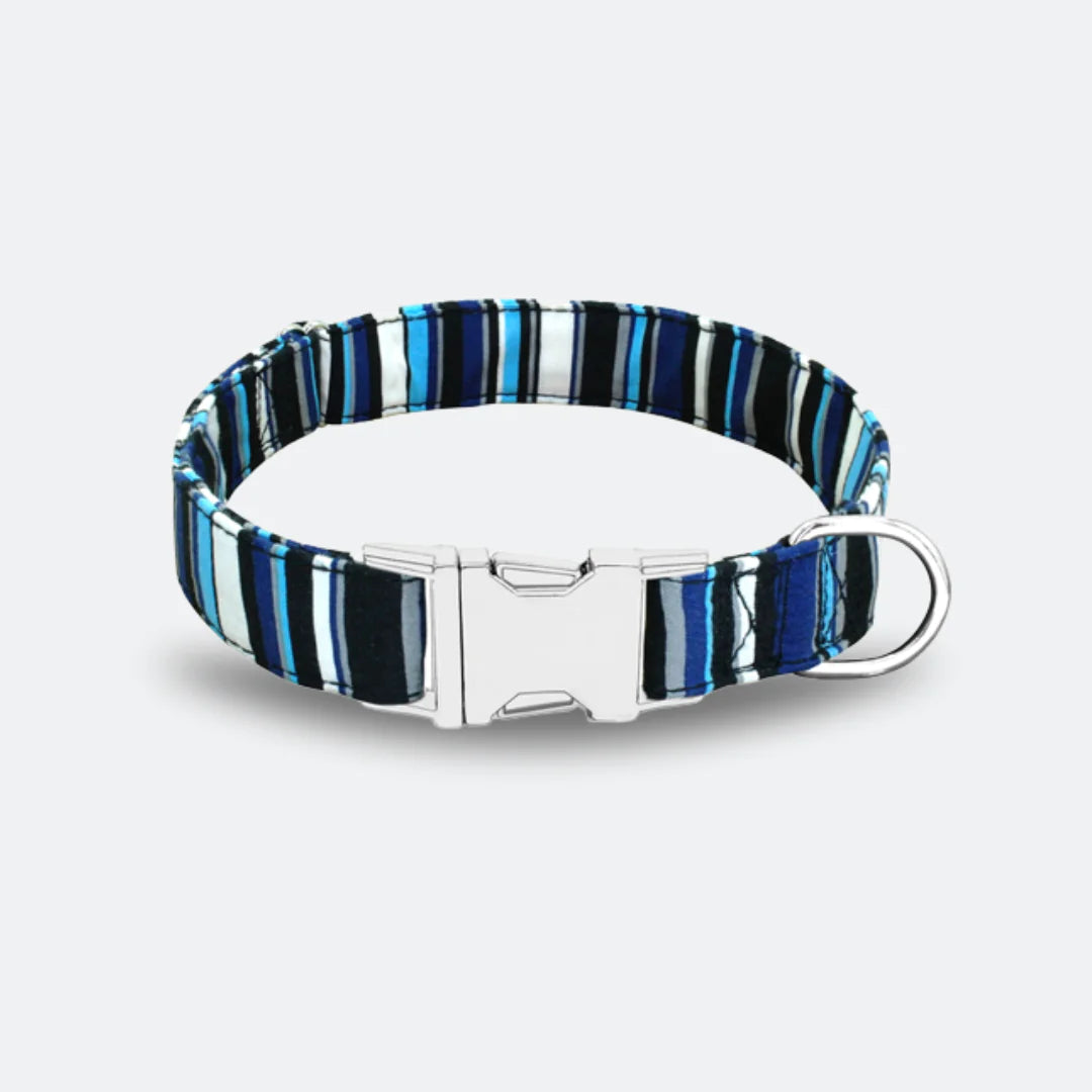 personalized dog collar with blue striped pattern 