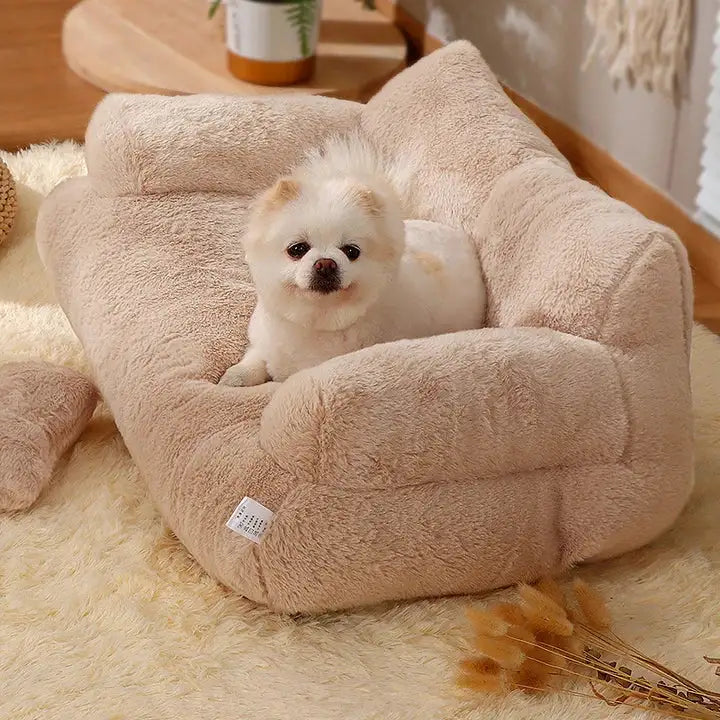 small white dog sits on an apricot luxe pet sofa