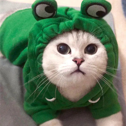 Silver white cat wears a green frog hoodie on a grey blanket