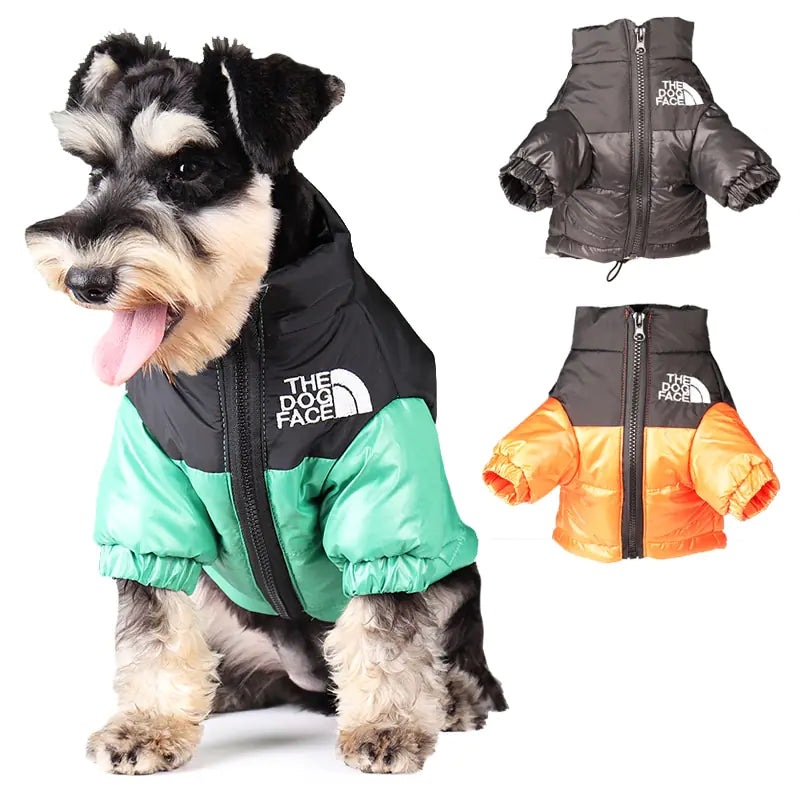 Dog wearing windproof green and black jacket on a white background, a black and black and orange windproof jacket are also shown on a white background