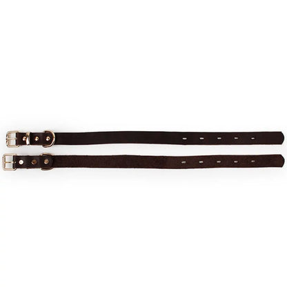 two leather collars stretched out on a white background