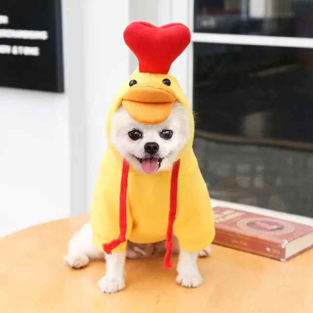 little white dog wears a yellow duck hoodie in a home setting