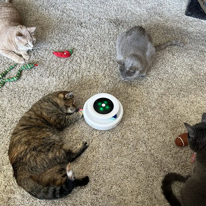 A Feather Frenzy Cat Toy is placed on a rug in a home setting. Four cats interacts with the toy. 