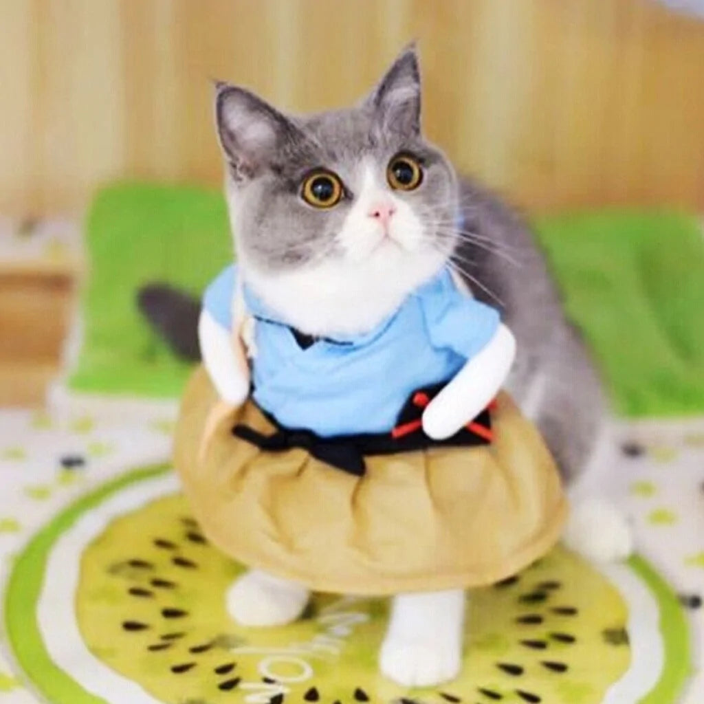 cat wearing the little girl's dress costume in a home setting 