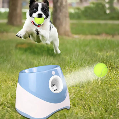 Automatic Tennis Ball Launcher in the forefront of the image, with a ball in motion, a small black and white dog, with a ball in it's mouth runs on the grass. 