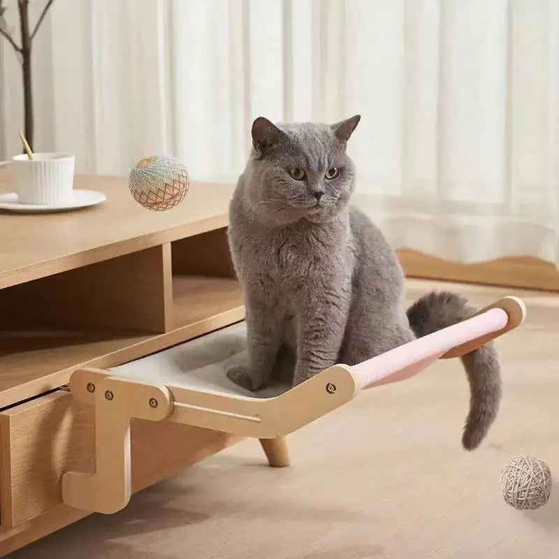 Grey cat sits in a Feline Window Perch in a home setting. 