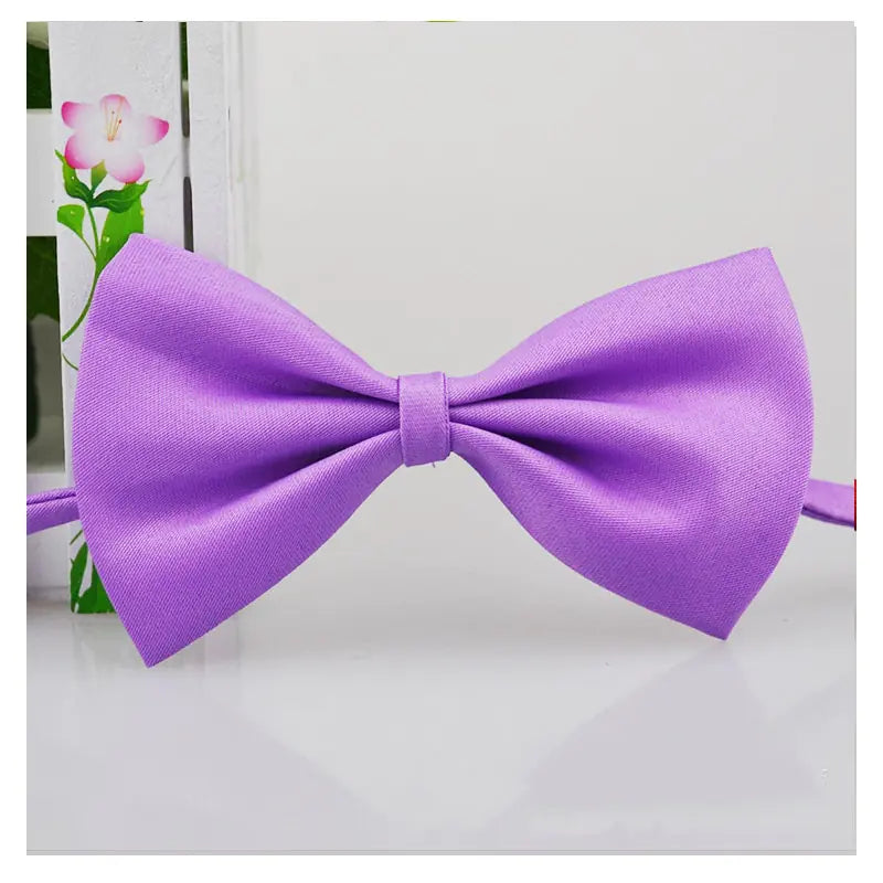 light purple bow tie on a white background 