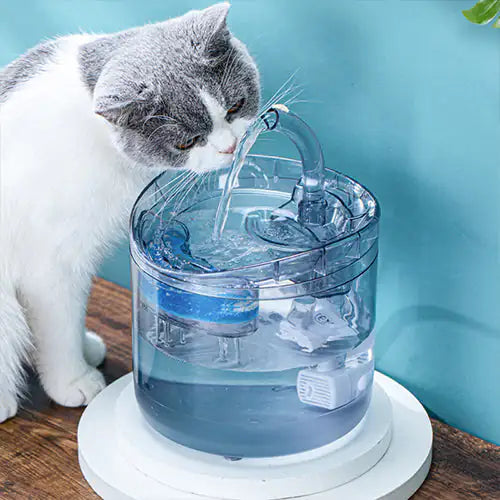 grey and white cat drinking from a water fountain on a wooden floor, with a blue wall. 