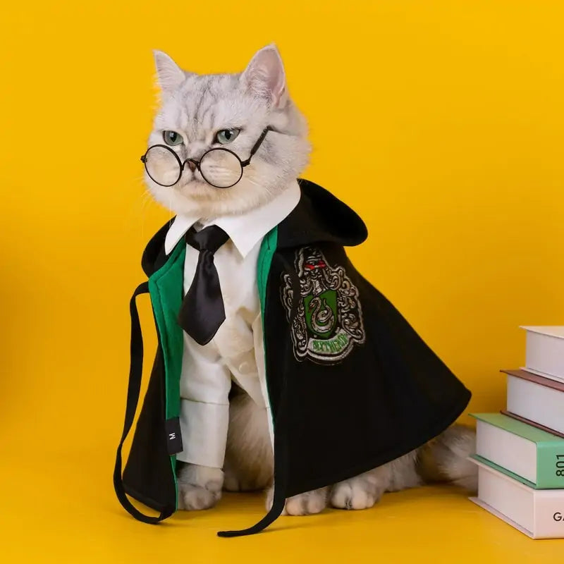 silver fluffy cat wears a green Wizard Cosplay Cape, glasses and tie, sitting next to a stack of books on a yellow backdrop. 