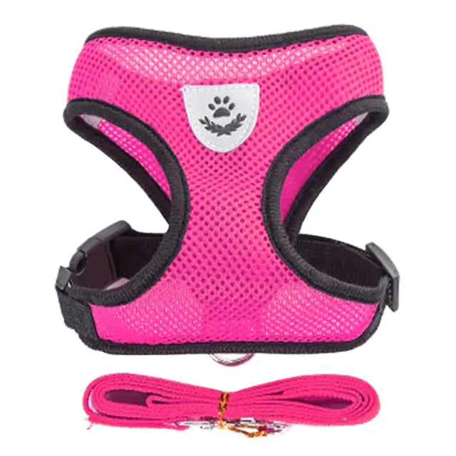 bright pink harness and leash set on white background. 