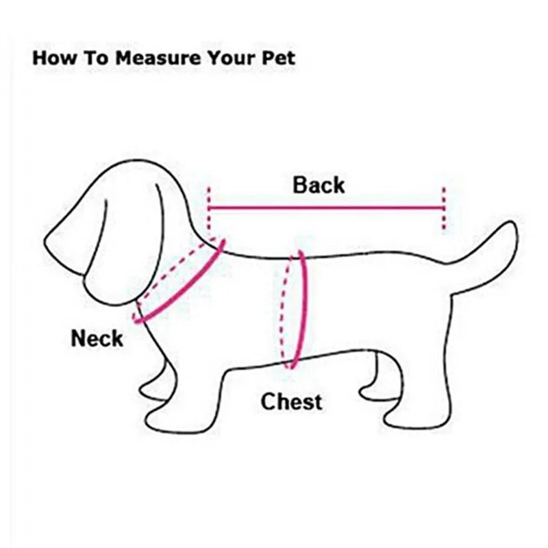 how to measure your pet diagram 