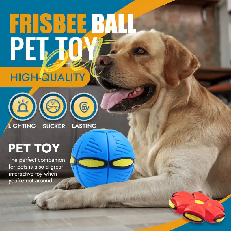 Labrador dog sits with a blue Flying Saucer Ball,  in a home setting. 