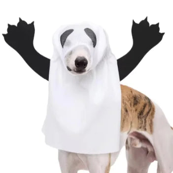 Dog wearing ghost/phantom costume, white background 