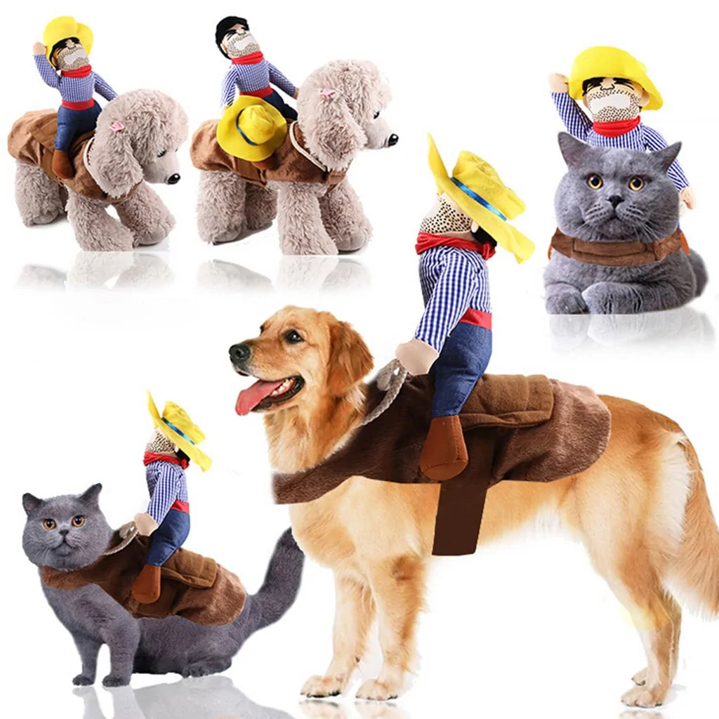 riding cowboy dog costume shown on a retriever dog, and a cat, white background