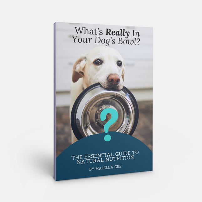 Book- What's Really In Your Dog's Bowl? shown on a white background.