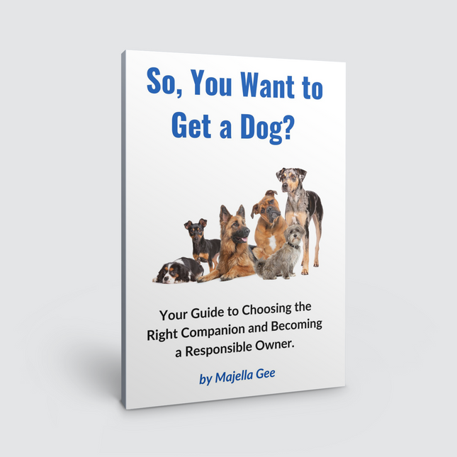 Book - So, You Want to Get a Dog? shown standing on a white background