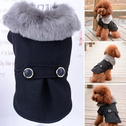 grey fur collared black pet jacket on a white background as main image, three insert images of a small brown Poodle wearing the jacket in an outdoor setting. 