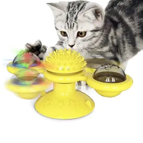 A grey tabby cat interacts with a Yellow Purrfect Spin-N-Twist Cat Toy on a white background