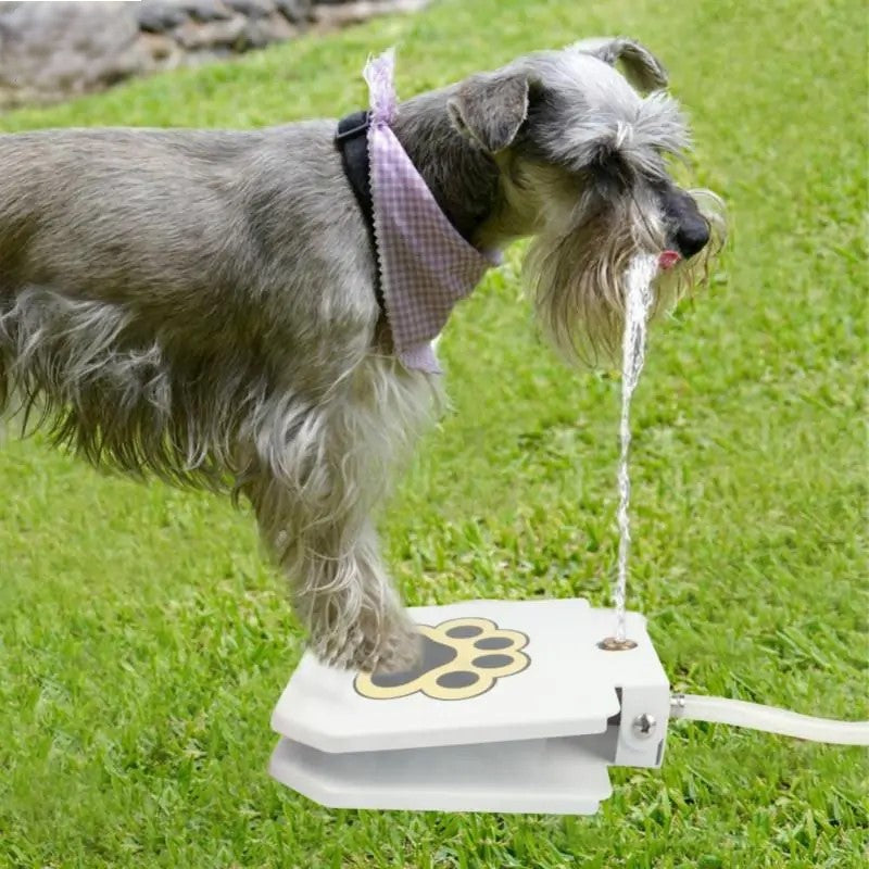 Automatic Outdoor Dog Water Fountain