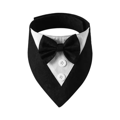 black and white tuxedo bow tie on a white background 