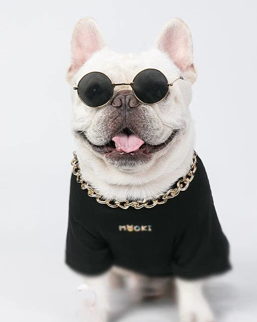 <h3>Pet Essentials</h3>