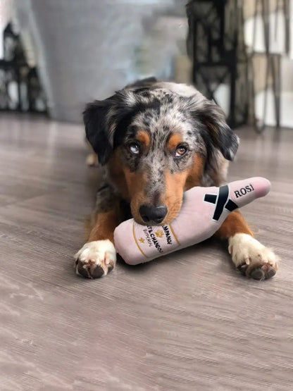 dog playing with a champagne bottle toy in a home setting. 