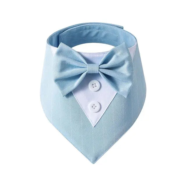 light blue tuxedo bow tie on a white background 