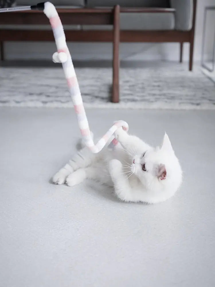 White kitten plays with a Purrfect Pounce Teaser Wand in a home setting. 