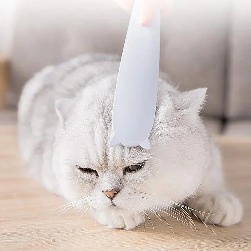 white cat having it's head rubbed with the pet hair remover brush in a home setting