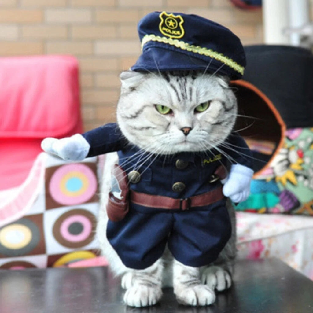 cat wearing a police costume in a home setting