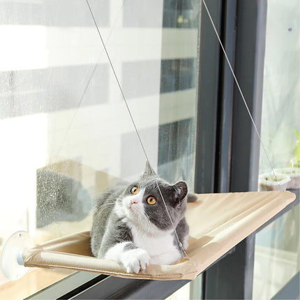 Sky-High Cat Haven