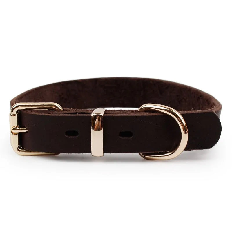 Brown leather collar white background., showing buckle