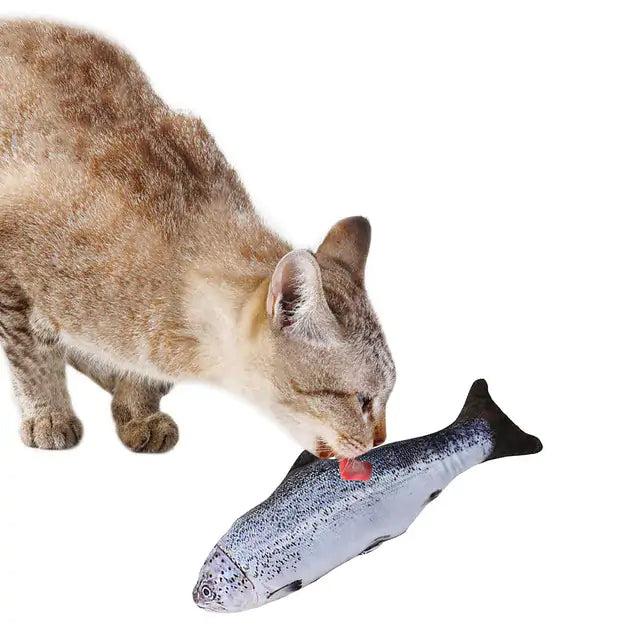 white background, cat licking fish shaped toy. 