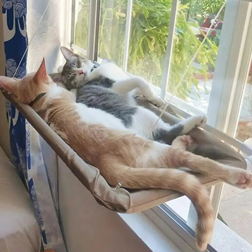 two cats sleep on a suspended cat bed, attached to a window in a home setting. 