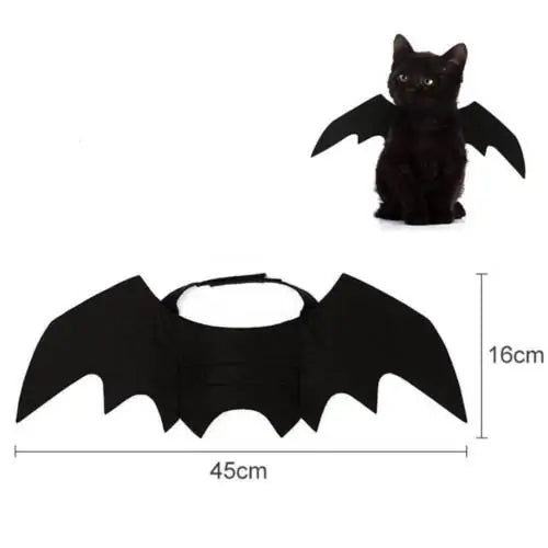 bat wing costume on white background showing dimensions of 45 x 16 cms, small black cat wearing bat wing costume on white background. 