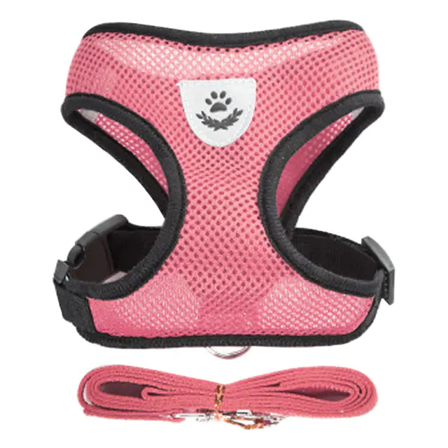 pale pink harness and leash set on white background. 