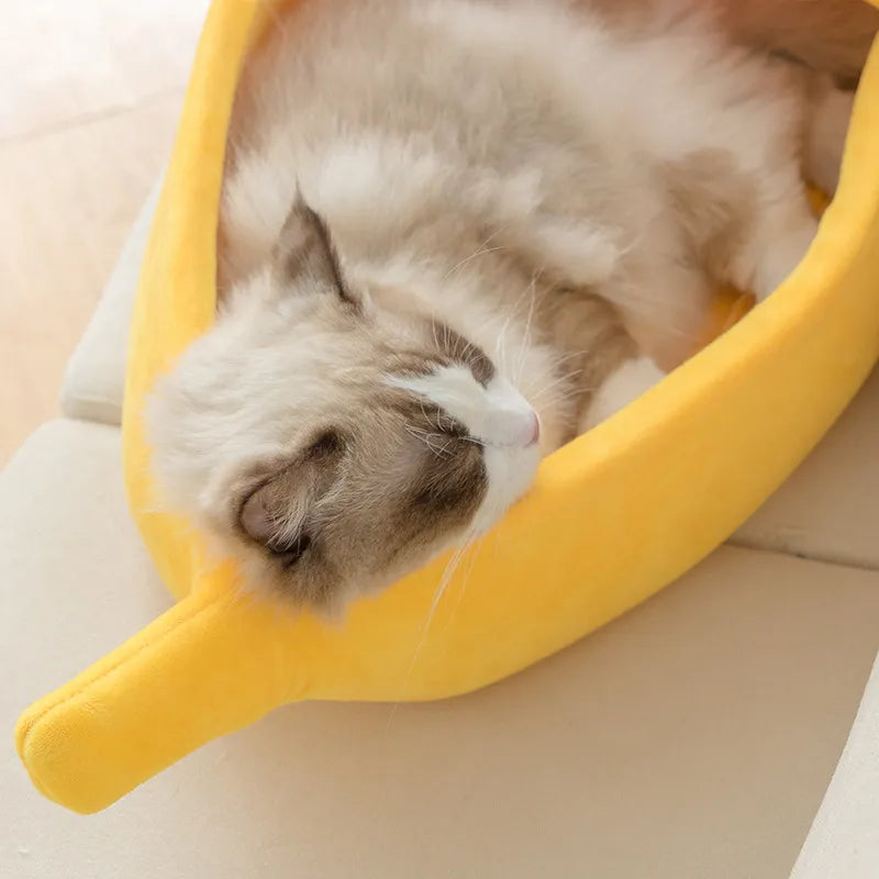 close up image of a fluffy cat inside the banana shaped pet bed in a home setting