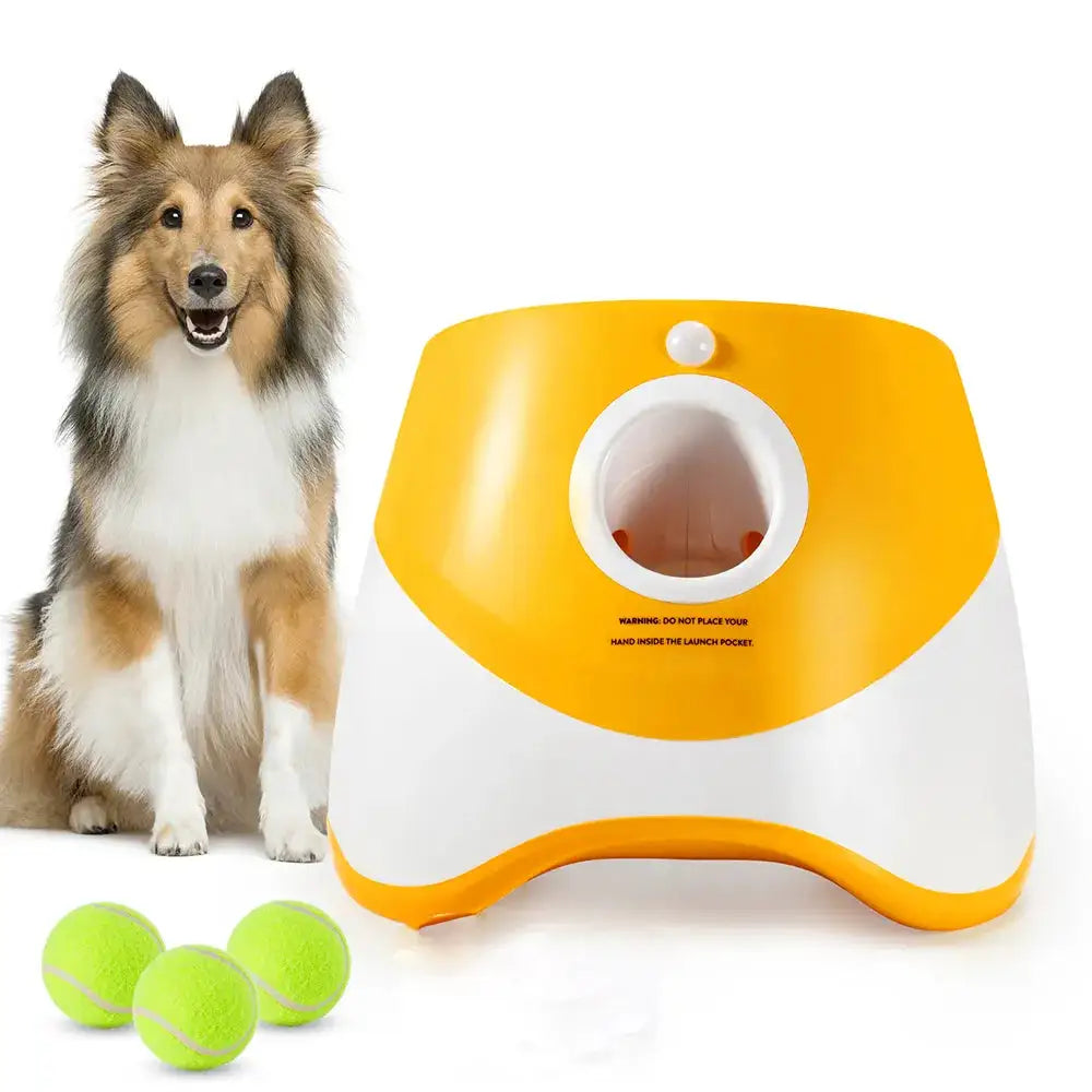 A Collie dog sits  on a white background with three tennis balls and an Orange Automatic Tennis Ball Launcher